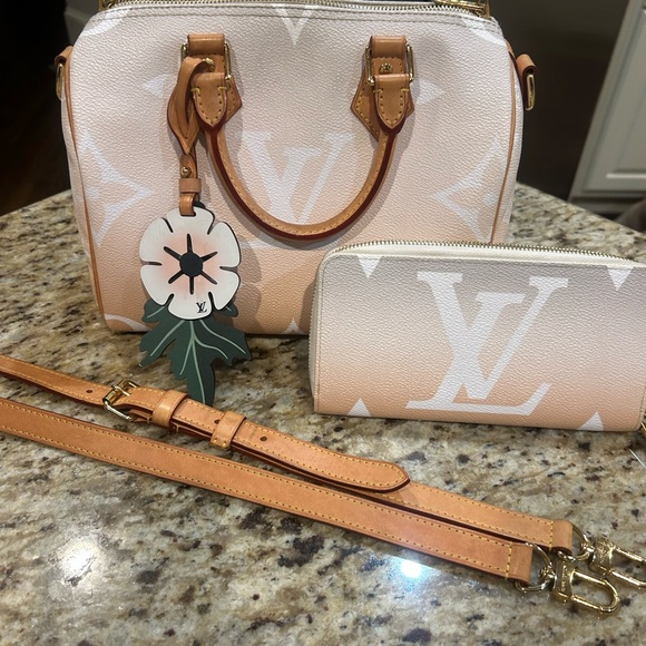 Louis Vuitton by the pool speedy b25 w matching zippy wallet selling as set - Picture 1 of 16